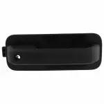 2015-2020 Ford F-150 - Handle, Outside