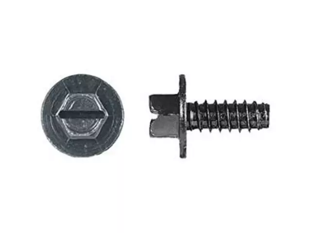 License Bracket Screw