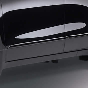GM Exterior Trim Bodyside Molding 42654668