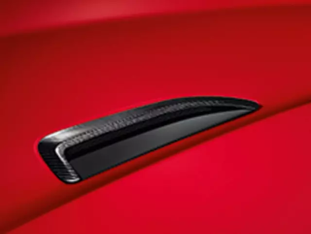 Bonnet Louvre, Silver Weave Carbon Fiber