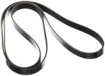 Serpentine Belt