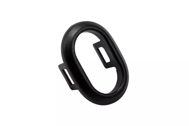 Seat Lumbar Switch Bezel