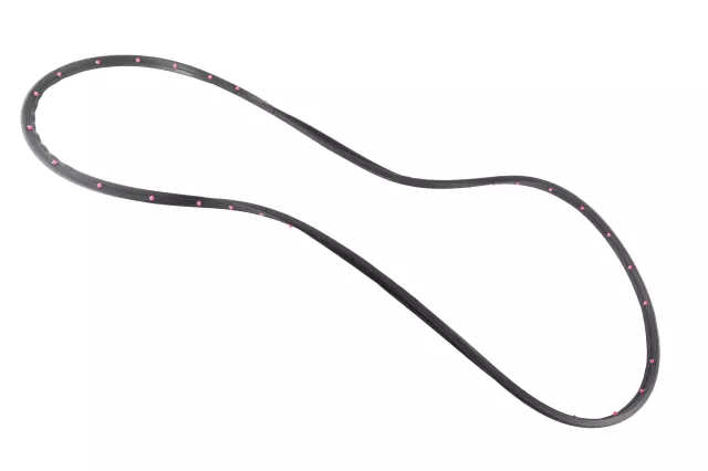 Rear Passenger Side Door Weatherstrip