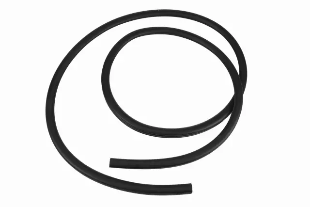 Rear Side Door Weatherstrip