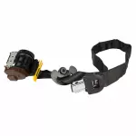 Seat Belt Assembly