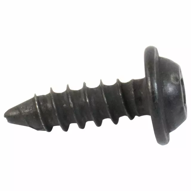 Rear Molding Screw