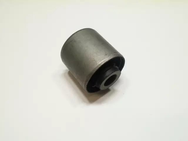 Trailing Arm Bushing