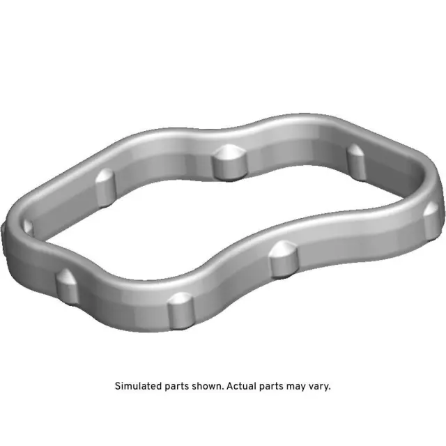 Engine Oil Cooler Gasket