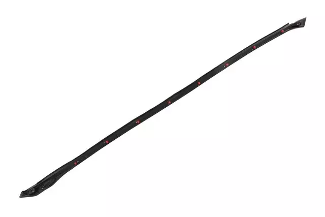 Driver Side Front Door Lower Auxiliary Weatherstrip