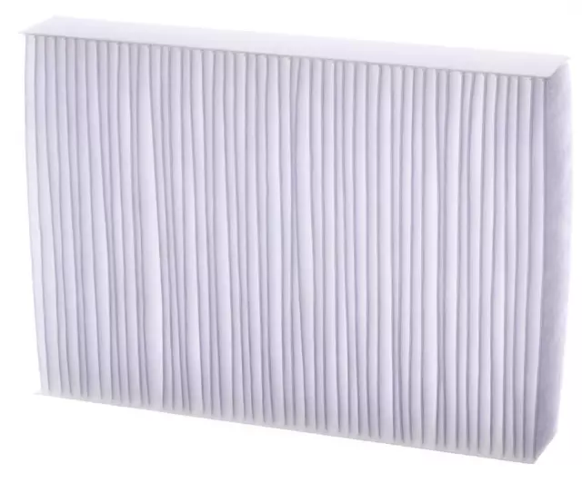 もいもい 81pcMUpIK7L._AC_UF350,