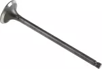 Exhaust Valve