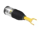 Air Suspension Spring And Shock Assembly, Right