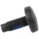 Seat Belt Assembly Mount Bolt