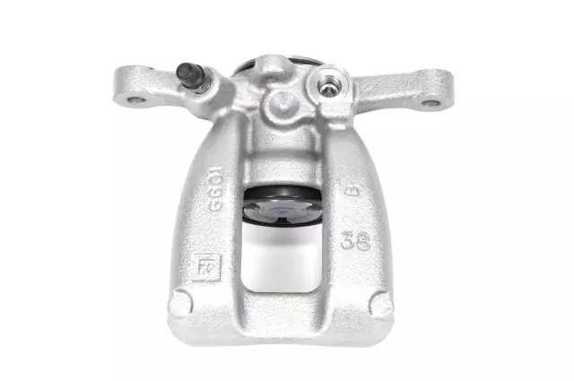 Rear Disc Brake Caliper Assembly