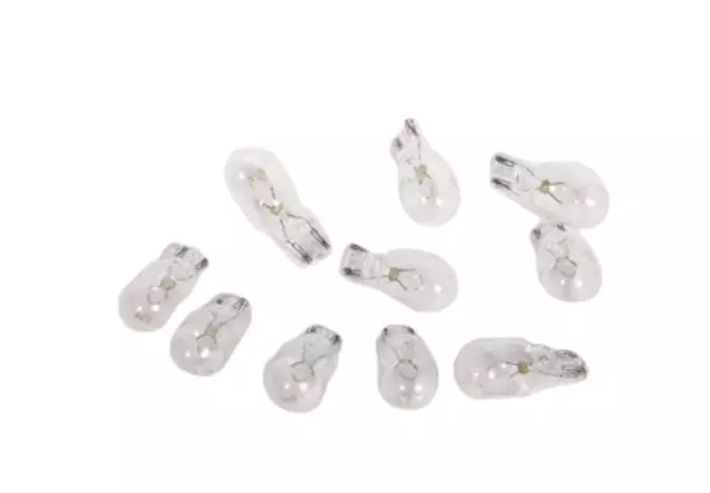 Multi-Purpose Light Bulb