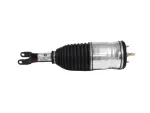 Air Suspension Spring And Shock Assembly, Right