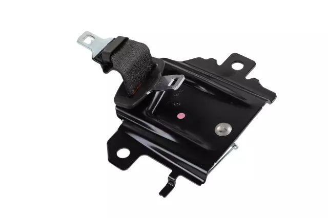 Center Belt Assembly