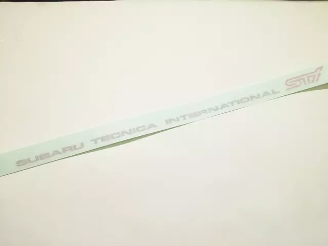 Body Side Molding Clip