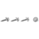Hinge Screw