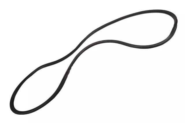 Front Side Door Body Side Weatherstrip