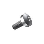 Ignition Coil Screw