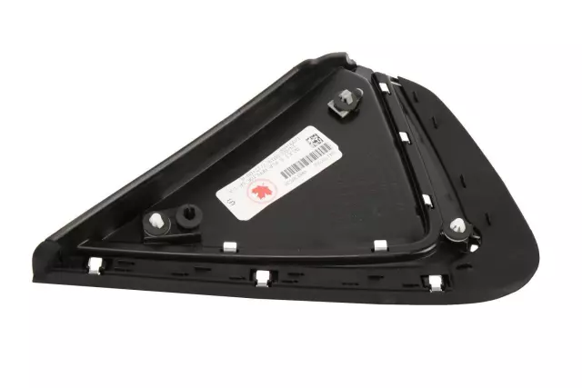 Driver Side Body Side Rear Molding