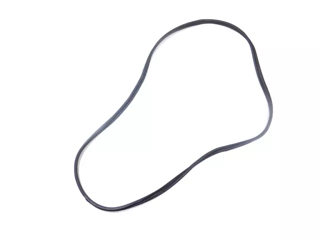 Front Door Opening Weatherstrip, Right