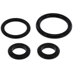 Fuel Injector Seal Kit