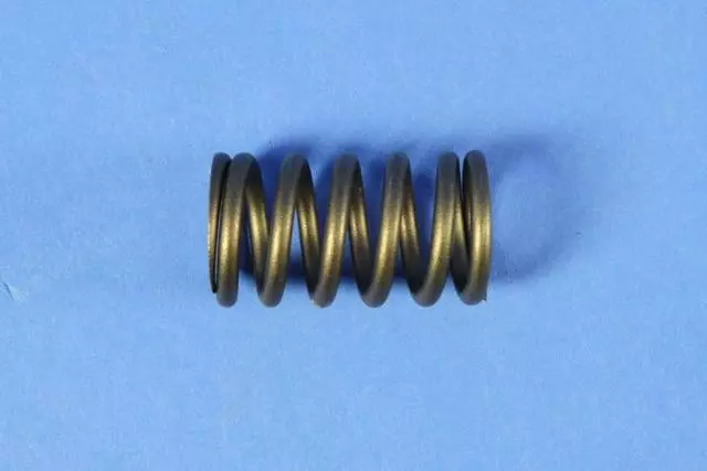 Valve Spring, Intake