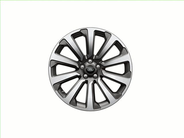 Alloy Wheel, 21 Inch 10 Spoke, Style 1033