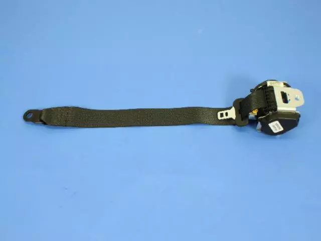 Lap & Shoulder Belt