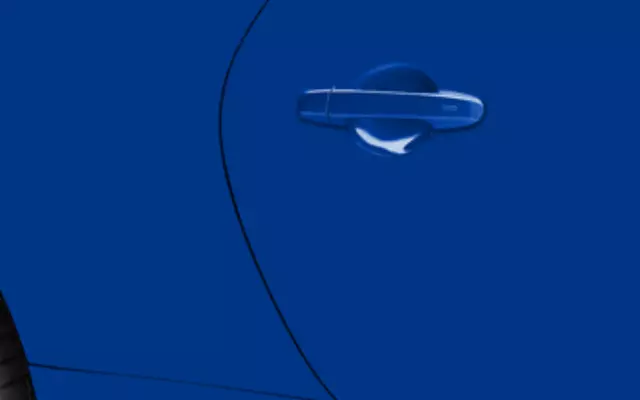 Door Edge Guards - Wr Blue Pearl