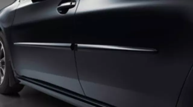 Molding, Body Side, Magnetic Gray Metallic