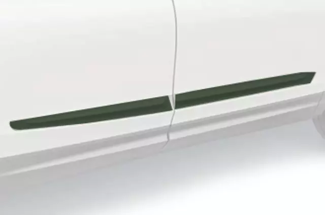 Body Side Moldings - Black Forest Pearl