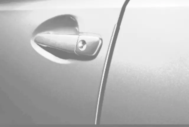 Door Edge Guards, Blizzard Pearl