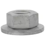 2015-2024 Ford - Door Hinge Nut