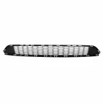 Bumper Grille