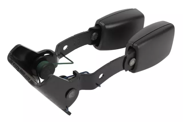 Ebony 3rd Row Seat Belt with Buckle