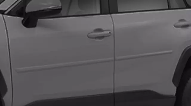 Moldings, Body Side, Silver Sky Metallic