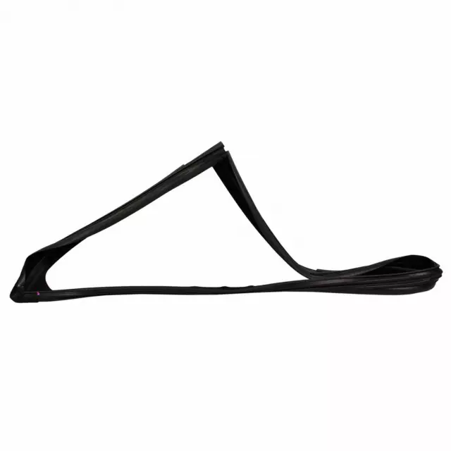 2018-2022 Ford EcoSport Window Channel FN1Z-7421597-F | OEM Parts