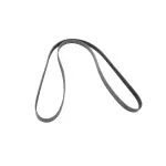 Accessory Drive Belt