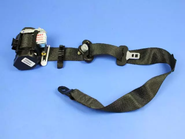 Lap & Shoulder Belt
