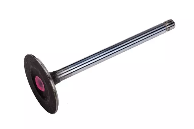 Engine Intake Valve