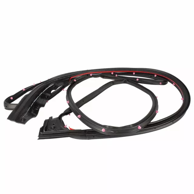 2015-2022 Ford Door Weather-Strip FL3Z-1520531-A | OEM Parts Online