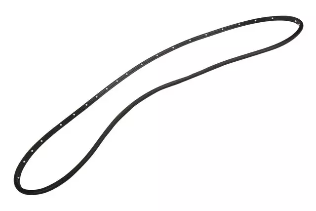 Front Driver Side Door Weatherstrip