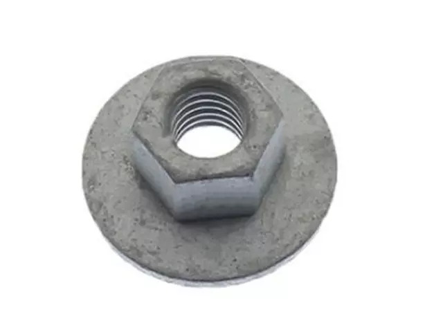 Mirror Assembly Nut