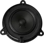 Rear Dr Speaker
