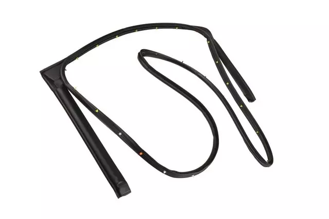 Rear Passenger Side Door Weatherstrip