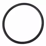 Engine Oil Filter Adapter Seal