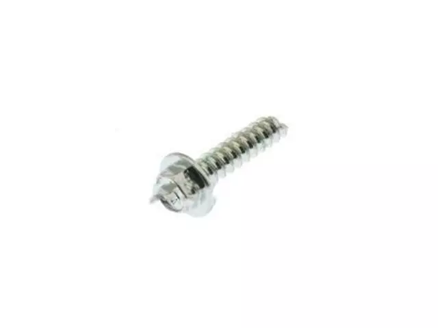 Cargo Lamp Bulb Screw